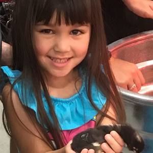 Meet your Posher, Dawn